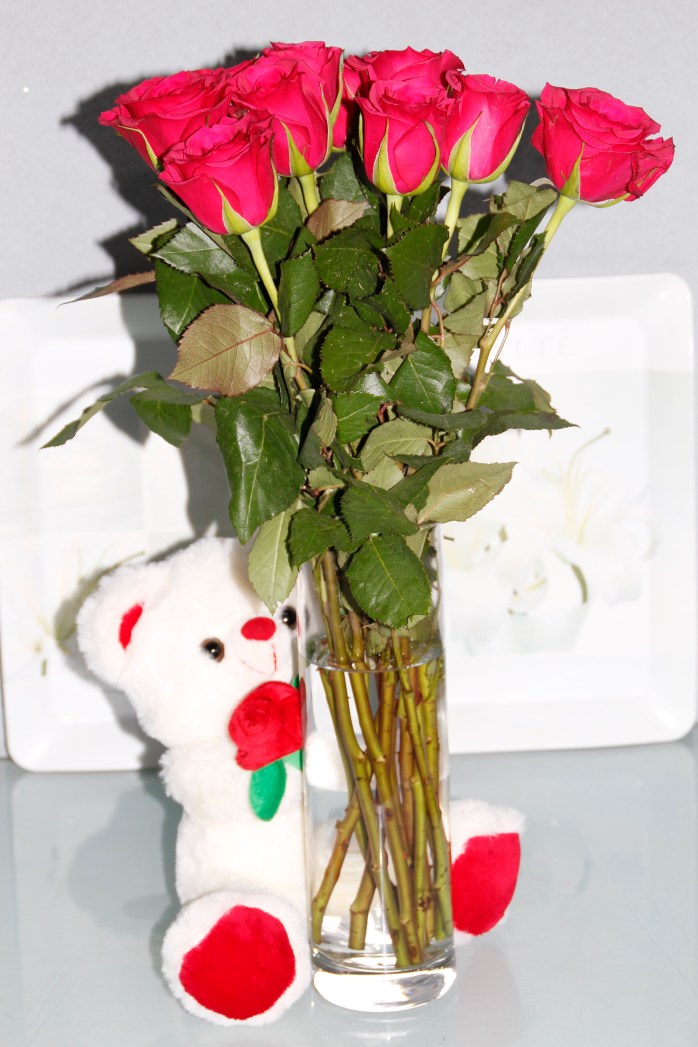 5f63ff8e4a5bd5db9bd2c2387de8116d